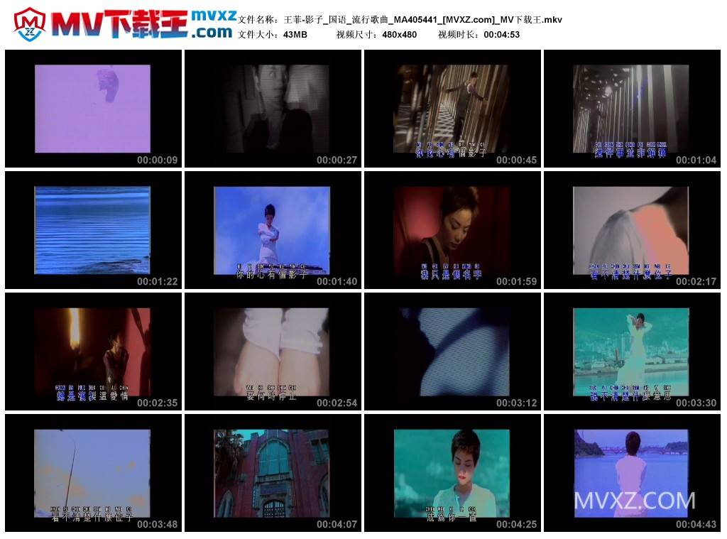 王菲-影子_国语_流行歌曲_MA405441